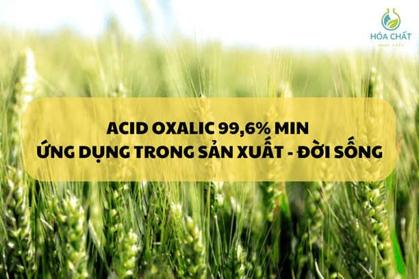 Acid Oxalic 99,6% min va ung dung trong doi song